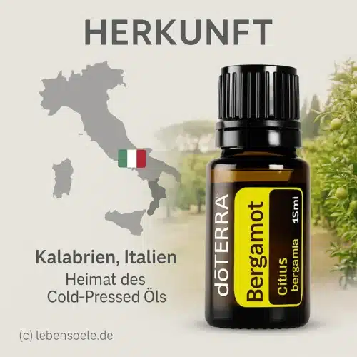 doTERRA Bergamotte - Citrus bergamia - Bergamot - Image 4
