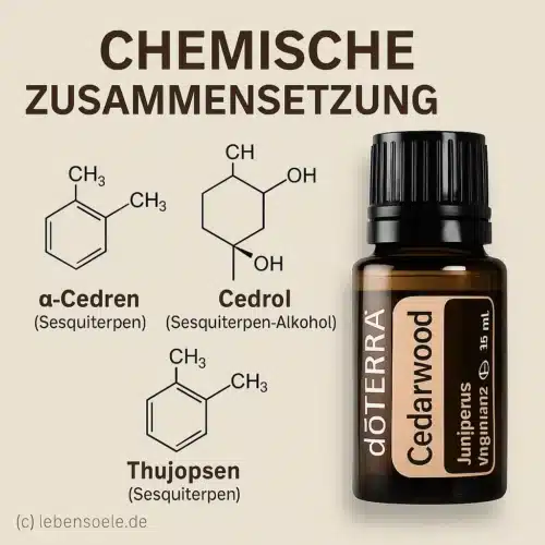 doTERRA Zeder - Juniperus virginiana - Cedarwood - Image 3