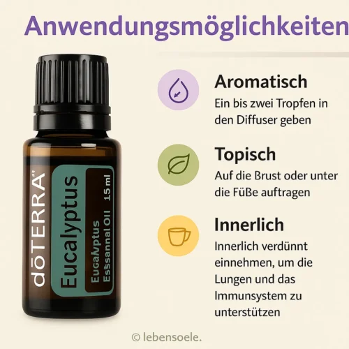 doTERRA Eukalyptus - Eucalyptus radiata - Image 2
