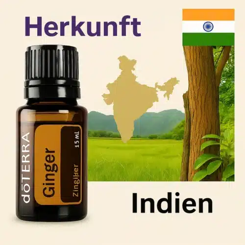 doTERRA Ingwer - Zingiber officinale - Ginger - Image 3