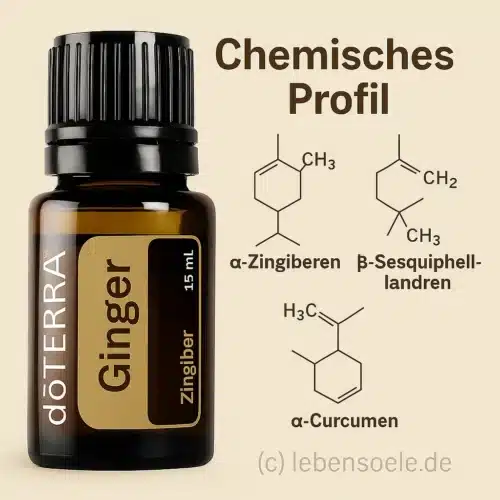 doTERRA Ingwer - Zingiber officinale - Ginger - Image 4