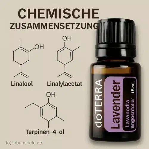 doTERRA Lavendel - Lavandula angustifolia - Lavender - Image 4