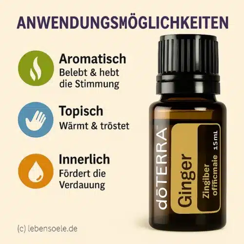 doTERRA Ingwer - Zingiber officinale - Ginger - Image 2