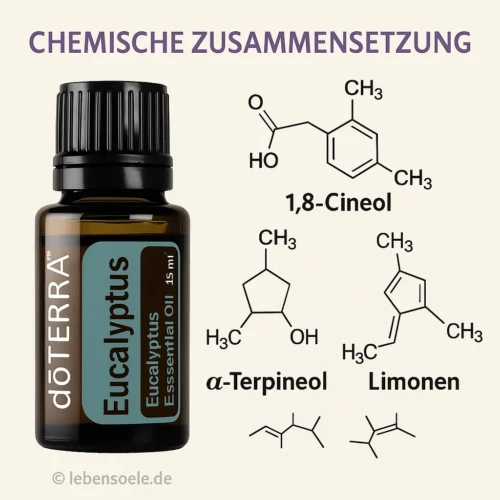 doTERRA Eukalyptus - Eucalyptus radiata - Image 3