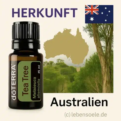doTERRA Melaleuca - Teebaumöl - Tea Tree - Image 2