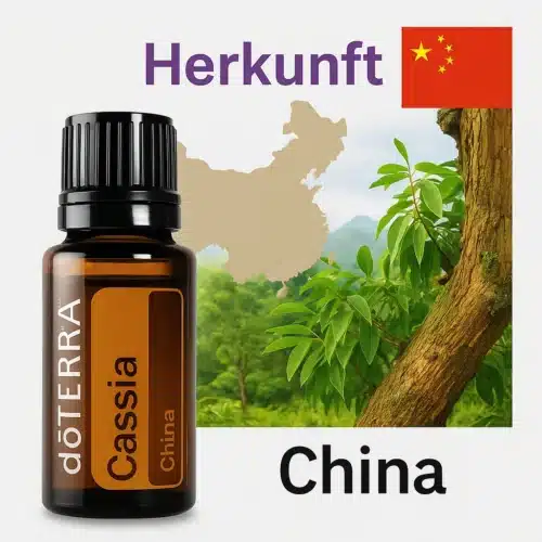 doTERRA Kassia - Cinnamomum cassia - Image 4