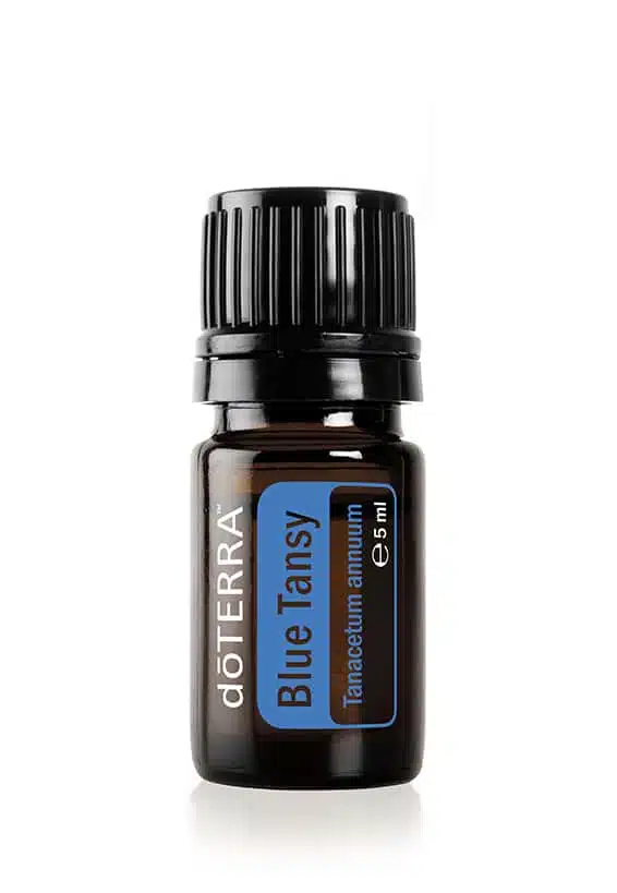 doTERRA Blauer Rainfarn – Tanacetum annuum – Blue Tansy