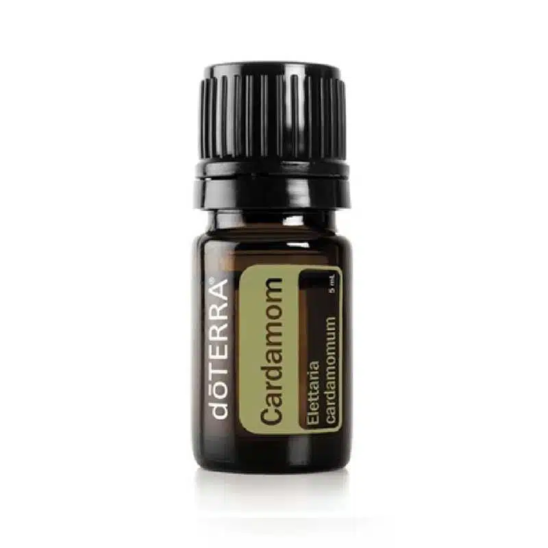 doTERRA Kardamon – Elettaria cardamomum – Cardamon