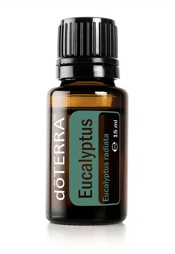 doTERRA Eukalyptus – Eucalyptus radiata