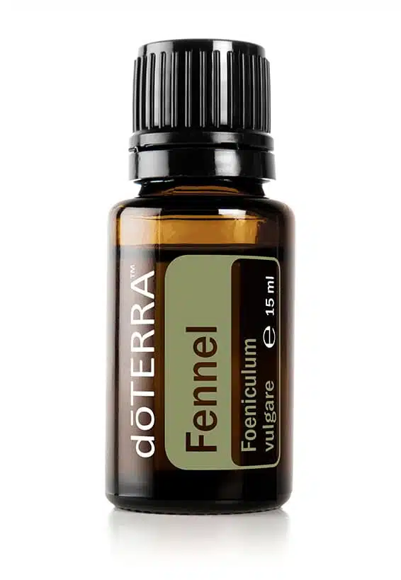 doTERRA Fenchel – Foeniculum vulgare – Fennel