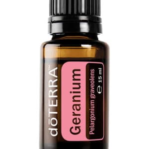 Geranie – Pelargonium graveolens – Geranium