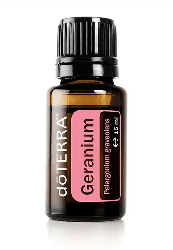 doTERRA Geranie – Pelargonium graveolens – Geranium