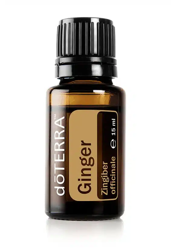 doTERRA Ingwer – Zingiber officinale – Ginger