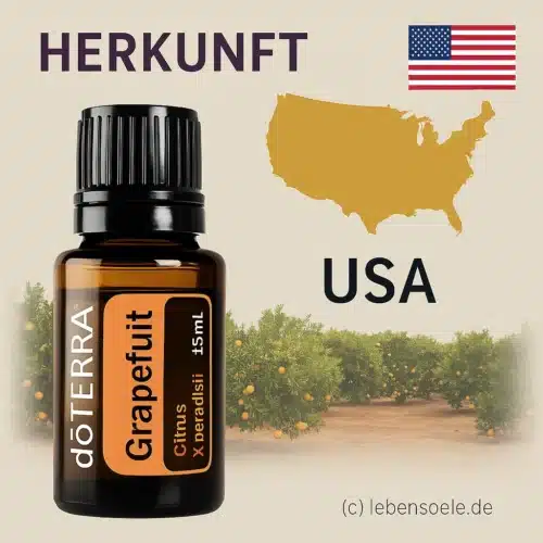 doTERRA Grapefruit - Citrus X paradisi - Pampelmuse - Image 3