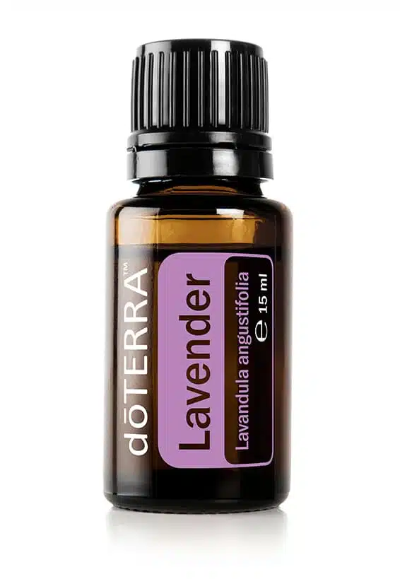 doTERRA Lavendel – Lavandula angustifolia – Lavender