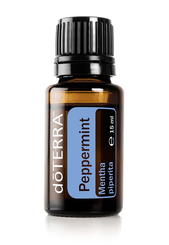 Pfefferminze – Mentha piperita – Peppermint