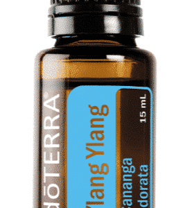 Ylang Ylang Cananga odorata