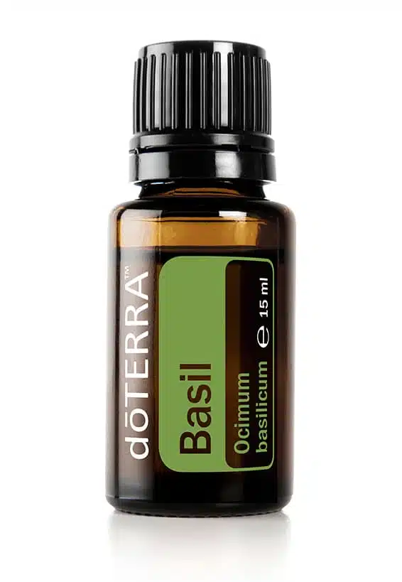 doTERRA Basilikum – Ocimum basilicum – Basil