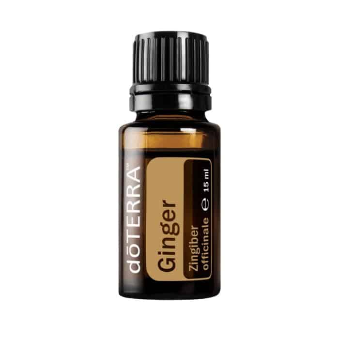 doTERRA Ingwer – Zingiber officinale – Ginger