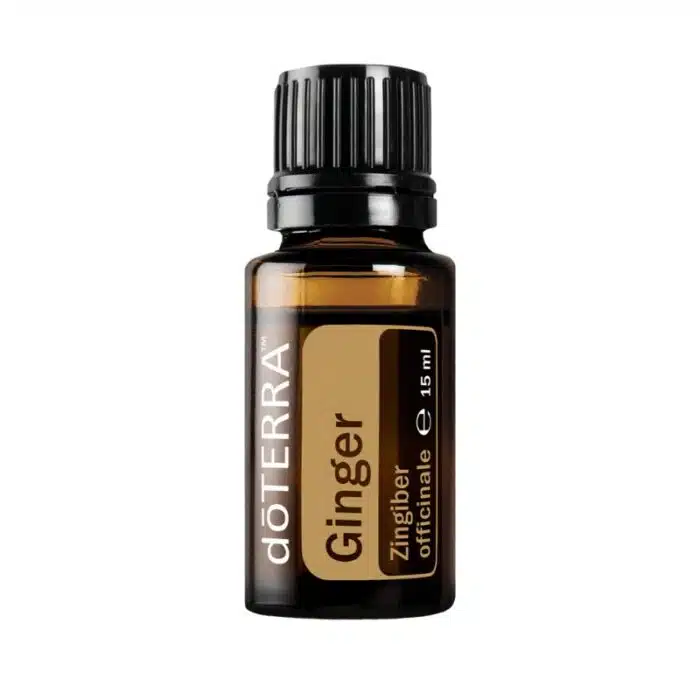 doTERRA Ingwer – Zingiber officinale – Ginger