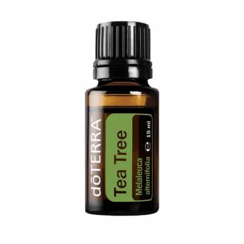 doTERRA Teatree- Teebaum