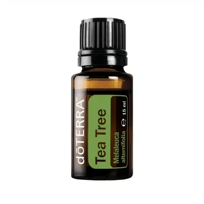 doTERRA Melaleuca – Teebaumöl – Tea Tree