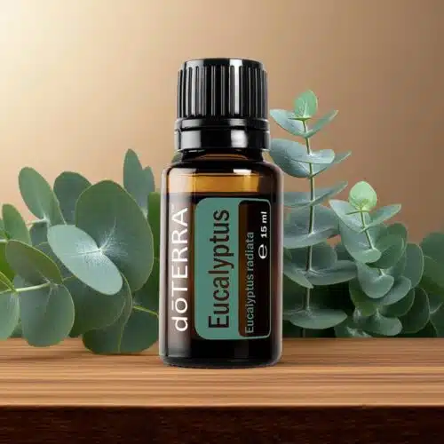 doTERRA Eukalyptus - Eucalyptus radiata - Image 5