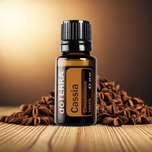 doTERRA Kassia - Cinnamomum cassia - Image 5