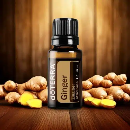 doTERRA Ingwer - Zingiber officinale - Ginger - Image 5