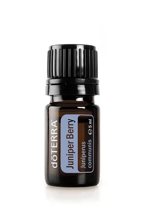 doTERRA Wacholderbeere – Juniperus communis – Juniper Berry