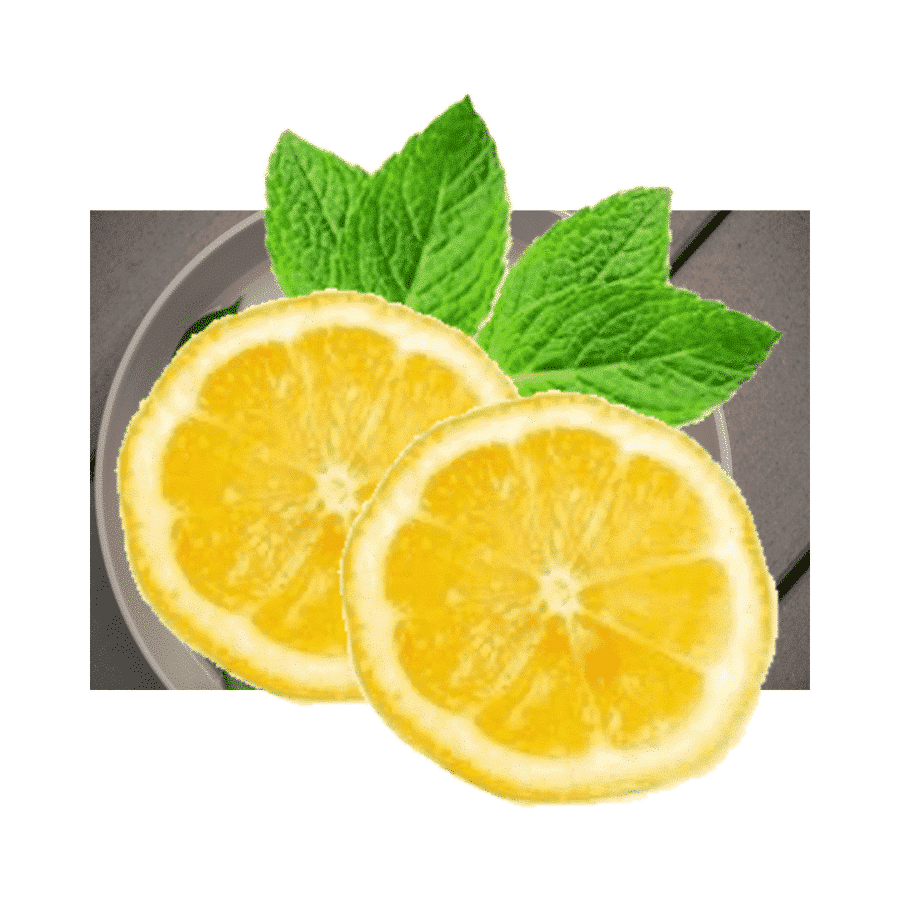 doTERRA Zitrone – Citrus limon – Lemon