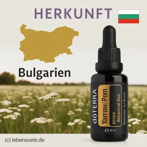 doTERRA Yarrow Pom - Schafgarbe Granatapfel - Image 3