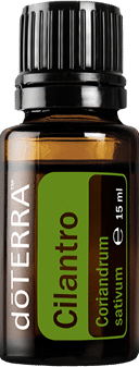 doTERRA Korianderkraut – Cilantro