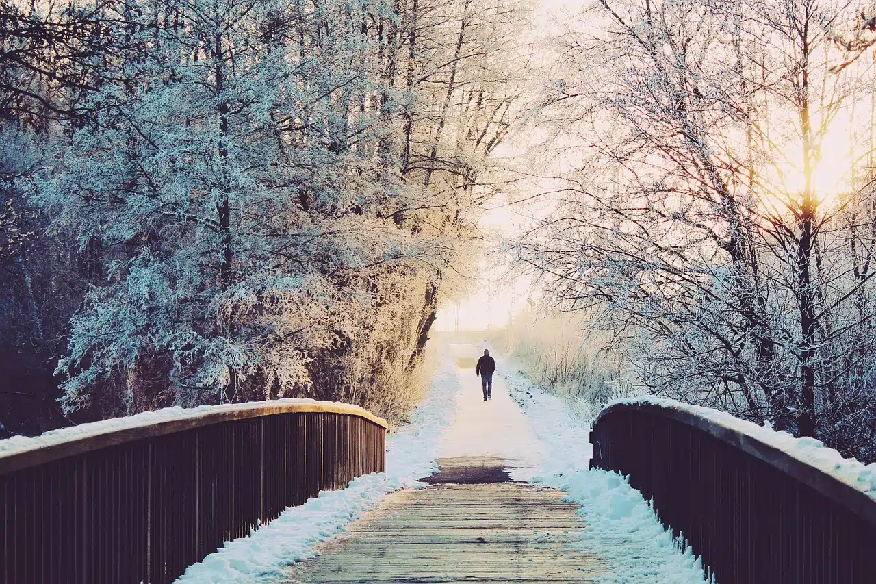 You are currently viewing Winterzauber mit doTERRA: Die Magie ätherischer Öle für die kalte Jahreszeit